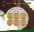 画像8: 気になる抜け毛・薄毛に K-ケアケア 浸透スカルプケアローション120ml　地肌が喜ぶスカルプケア。加齢やホルモンバランスの乱れによる髪の悩みに着目した、幹細胞・キャピキシル配合のスカルプケアローションです (8)