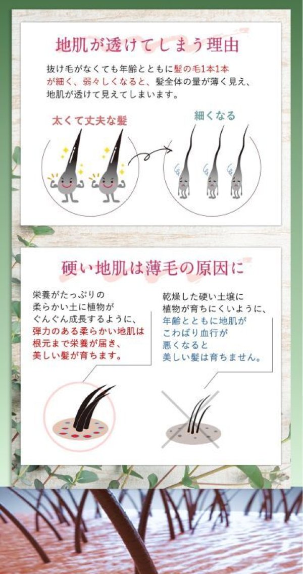 画像11: materi note（マテリノート）Ｋケアケア15ml×2 お試しサイズ スカルプケアエッセンス 育毛ローション エイジングケア成分 無香料 頭皮ケア スカルプケア 低刺激 美容室専売 ボタニカル キャピキシル (11)