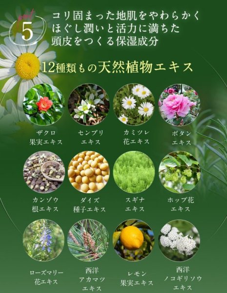 画像10: 【お試し】気になる抜け毛・薄毛に スカルプケアローション ケケアケア 15ml×2  地肌が喜ぶスカルプケア。加齢やホルモンバランスの乱れによる髪の悩みに着目した、幹細胞・キャピキシル配合のスカルプケアローションです (10)