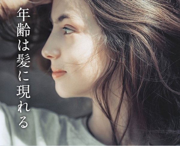 画像8: ヒアロニックゲル 400g 最強ヒアルロン酸で水分保持 頭皮と髪、全身に (8)