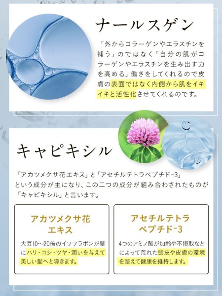 画像14: ヒアロニックゲル 400g 最強ヒアルロン酸で水分保持 頭皮と髪、全身に (14)