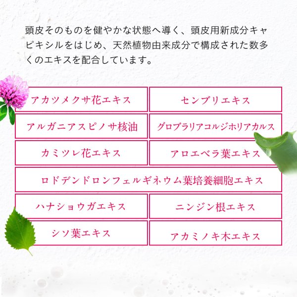 画像10: ★ココナシャンプー 1000ml 先進のアミノ酸ヘマチンシャンプー  傷ついた髪と疲れた地肌を癒す!  優しい香り (10)
