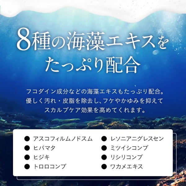 画像11: ヘマチン アミノ酸シャンプーmateri noteココナシャンプー 300ml  ノンシリコン 白髪予防 ダメージ毛 キャピキシル (11)