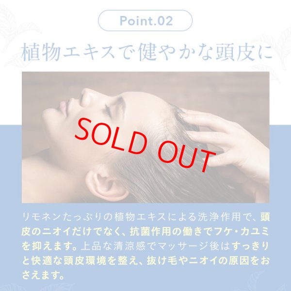 画像9: シャンプー お試し セット かゆみ 抜け毛予防 薄毛予防 クリームシャンプー ヘッドスパクリーム30gx2 美容室専売 シャンプー ノンシリコン スカルプケア サロン 業務 トリートメント エイジングケア 髪質改善 デオドラント 白髪 抜け毛 薄毛 クセ毛 育毛 マテリノート (9)