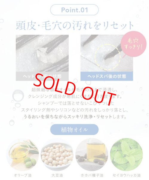 画像8: シャンプー お試し セット かゆみ 抜け毛予防 薄毛予防 クリームシャンプー ヘッドスパクリーム30gx2 美容室専売 シャンプー ノンシリコン スカルプケア サロン 業務 トリートメント エイジングケア 髪質改善 デオドラント 白髪 抜け毛 薄毛 クセ毛 育毛 マテリノート (8)