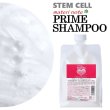 画像1: 先進の幹細胞エイジングケア・プライムシャンプーお得な詰め替え1000ml エイジングケアのために幹細胞をはじめ有用成分をたっぷりと配合した低刺激アミノ酸シャンプーです。地肌から優しい泡で潤いを与えながら優しく洗い、元気な髪へ導きます。疲れた頭皮、やせ細ってきた髪、加齢によるホルモンバランスの乱れによる髪の悩みに着目したエイジングケアのためのプライムシャンプーです。 (1)