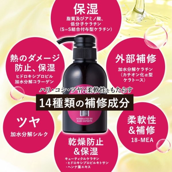 画像14: 最強トリートメント ケラチンは髪の主成分／アミノミックスＰＰＴプロ 300ml どうしようもなく傷んでしまったパサパサダメージ毛は、サロン技術のノウハウを毎日のケアに取り入れた髪と同じ組成成分ケラチン導入トリートメントで髪質改善、元気な髪へ (14)