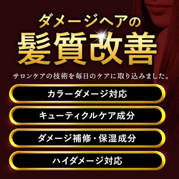 画像15: 最強トリートメント ケラチンは髪の主成分／アミノミックスＰＰＴプロ 300ml どうしようもなく傷んでしまったパサパサダメージ毛は、サロン技術のノウハウを毎日のケアに取り入れた髪と同じ組成成分ケラチン導入トリートメントで髪質改善、元気な髪へ (15)